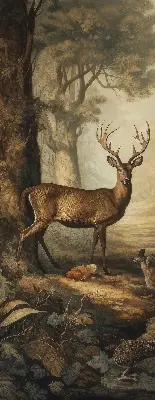 Fenster rollo Tiere im Wald