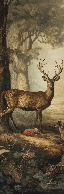 Fenster rollo Tiere im Wald