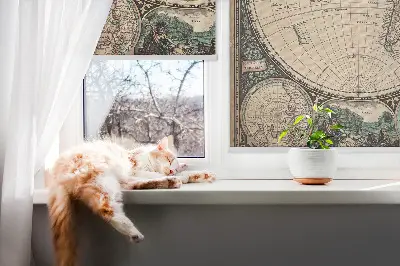 Fenster rollo Weltkarte