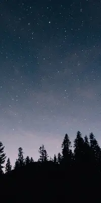 Rollo lichtundurchlässig Sternenhimmel