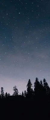 Rollo lichtundurchlässig Sternenhimmel