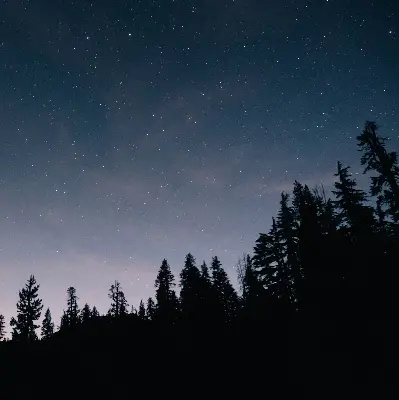 Rollo lichtundurchlässig Sternenhimmel