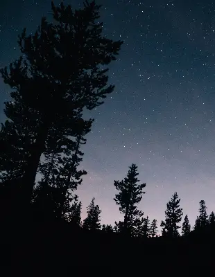 Rollo lichtundurchlässig Sternenhimmel