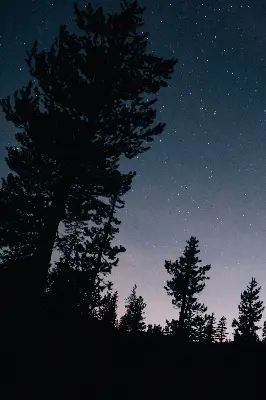 Rollo lichtundurchlässig Sternenhimmel