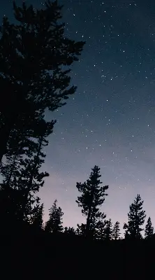 Rollo lichtundurchlässig Sternenhimmel