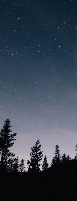 Rollo lichtundurchlässig Sternenhimmel