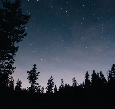 Rollo lichtundurchlässig Sternenhimmel