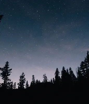 Rollo lichtundurchlässig Sternenhimmel