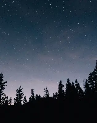 Rollo lichtundurchlässig Sternenhimmel