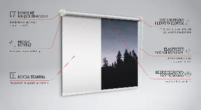 Rollo lichtundurchlässig Sternenhimmel