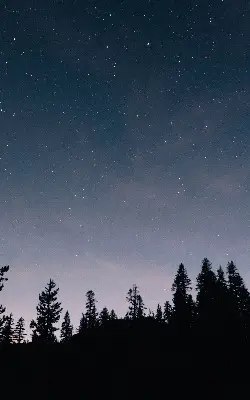 Rollo lichtundurchlässig Sternenhimmel