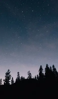 Rollo lichtundurchlässig Sternenhimmel