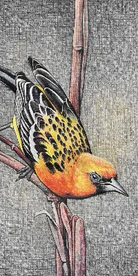 Verdunkelungsrollo Ein Vogel auf einem Ast