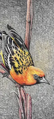 Verdunkelungsrollo Ein Vogel auf einem Ast