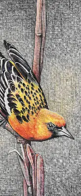 Verdunkelungsrollo Ein Vogel auf einem Ast