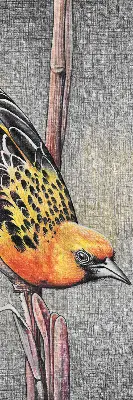 Verdunkelungsrollo Ein Vogel auf einem Ast