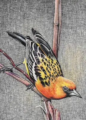 Verdunkelungsrollo Ein Vogel auf einem Ast