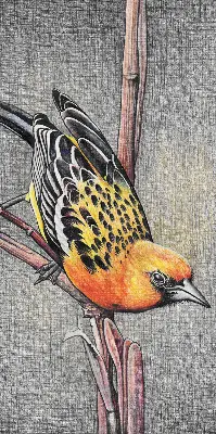 Verdunkelungsrollo Ein Vogel auf einem Ast