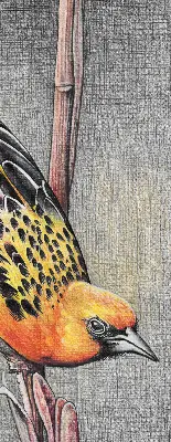Verdunkelungsrollo Ein Vogel auf einem Ast