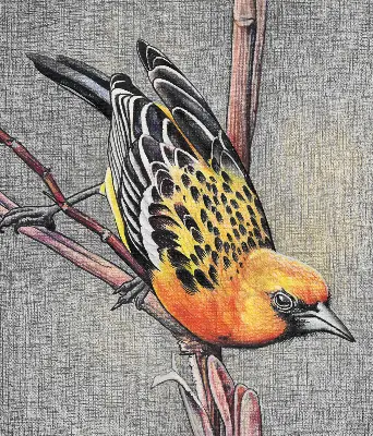 Verdunkelungsrollo Ein Vogel auf einem Ast