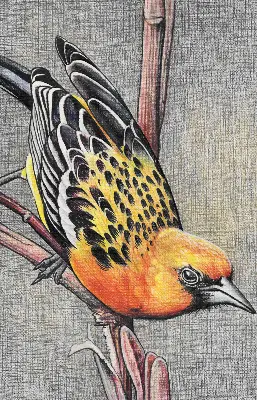 Verdunkelungsrollo Ein Vogel auf einem Ast