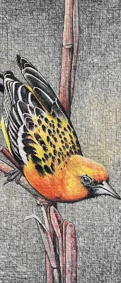 Verdunkelungsrollo Ein Vogel auf einem Ast