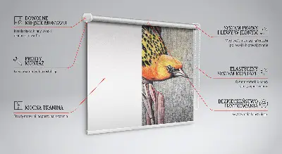 Verdunkelungsrollo Ein Vogel auf einem Ast