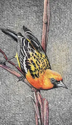 Verdunkelungsrollo Ein Vogel auf einem Ast