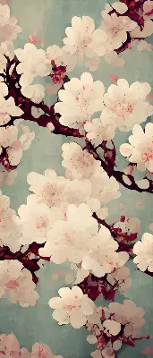 Verdunkelungsrollo Kirschblüte