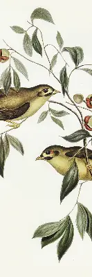 Verdunkelungsrollo Vögel auf einem Baum