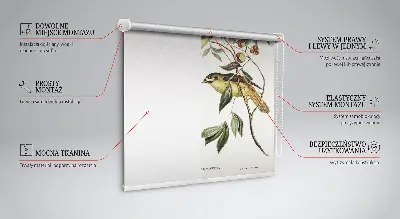 Verdunkelungsrollo Vögel auf einem Baum