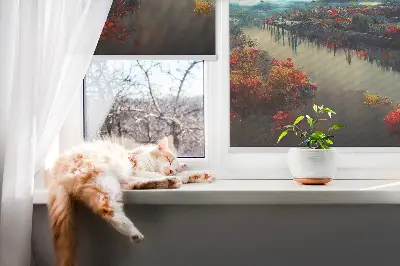 Fenster rollo Fluss im Mondlicht