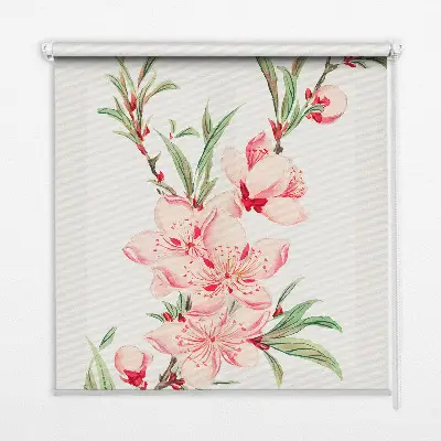 Fenster rollo Rosa Blume
