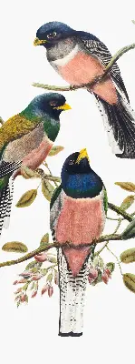 Rollo lichtundurchlässig Vögel auf den Zweigen