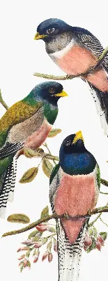 Rollo lichtundurchlässig Vögel auf den Zweigen