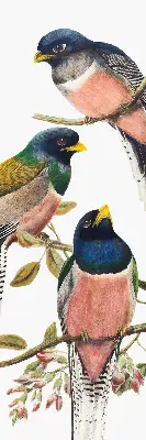 Rollo lichtundurchlässig Vögel auf den Zweigen