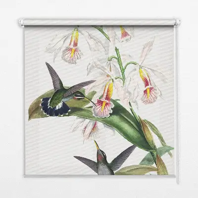 Verdunkelungsrollo Vögel auf einer Blume