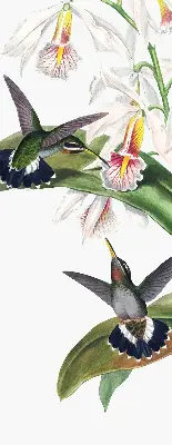 Verdunkelungsrollo Vögel auf einer Blume