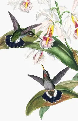Verdunkelungsrollo Vögel auf einer Blume