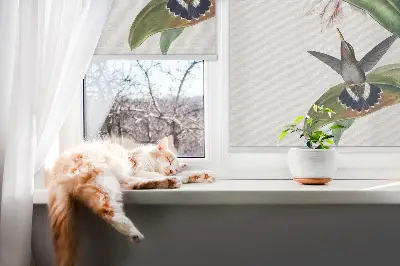 Verdunkelungsrollo Vögel auf einer Blume