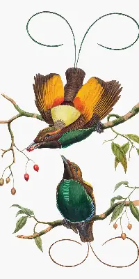 Fenster rollo Vögel auf einem Ast