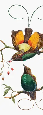 Fenster rollo Vögel auf einem Ast