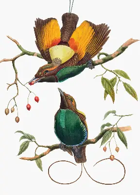 Fenster rollo Vögel auf einem Ast
