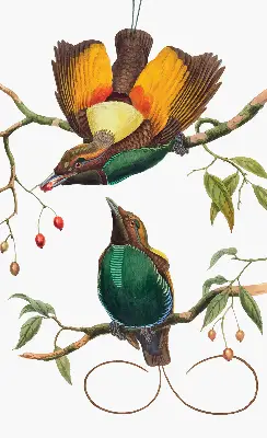 Fenster rollo Vögel auf einem Ast
