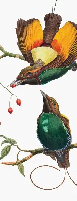 Fenster rollo Vögel auf einem Ast