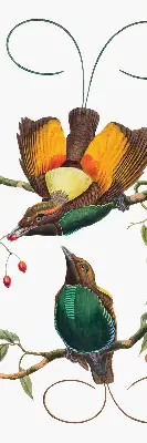 Fenster rollo Vögel auf einem Ast