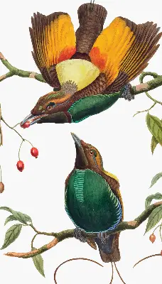 Fenster rollo Vögel auf einem Ast