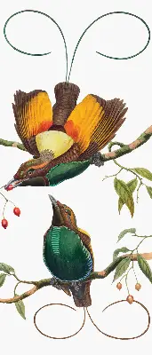 Fenster rollo Vögel auf einem Ast
