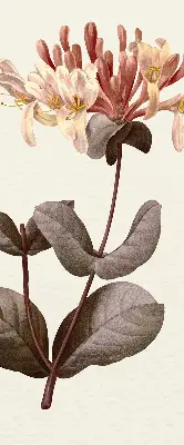 Rollo lichtundurchlässig Herabfallende Blume