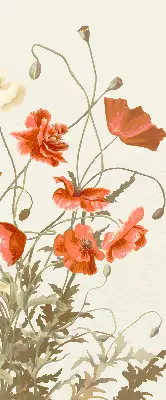 Verdunkelungsrollo Mohnblumen